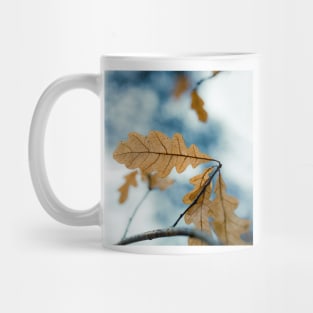 Dry yellow leaves in small oak tree Mug